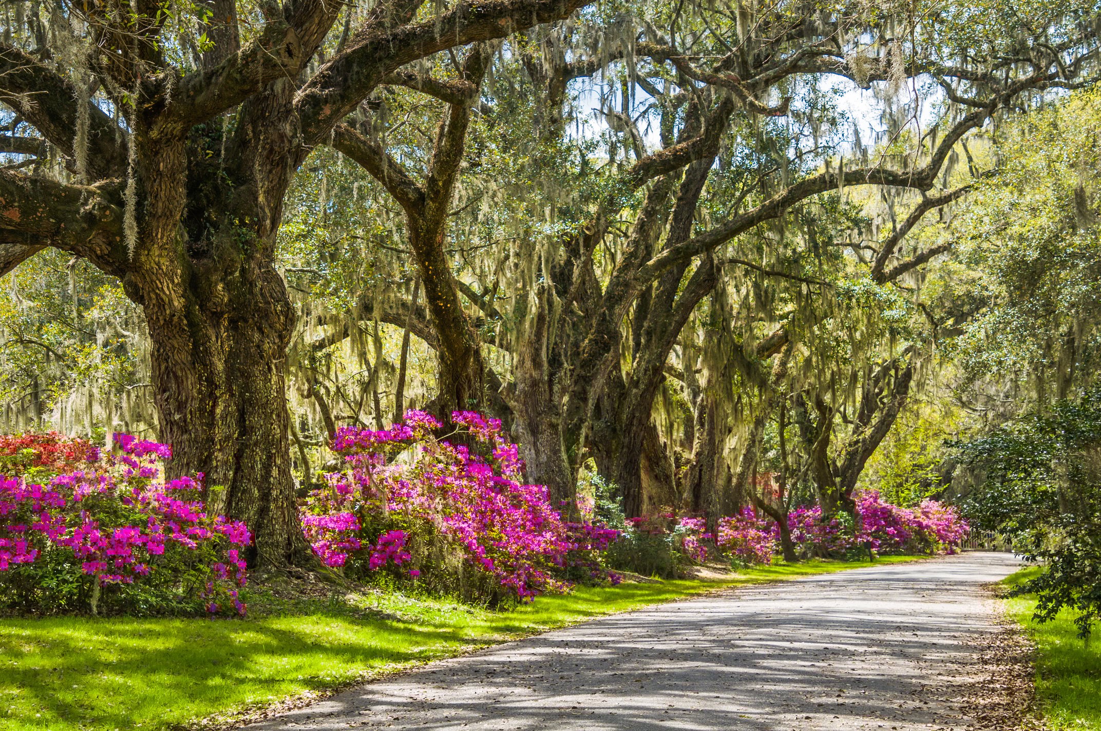 Charleston Byway